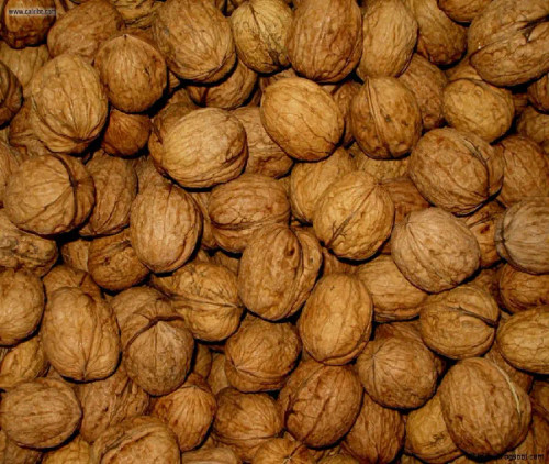 گردو، میوهای باارزش و مغذی است
